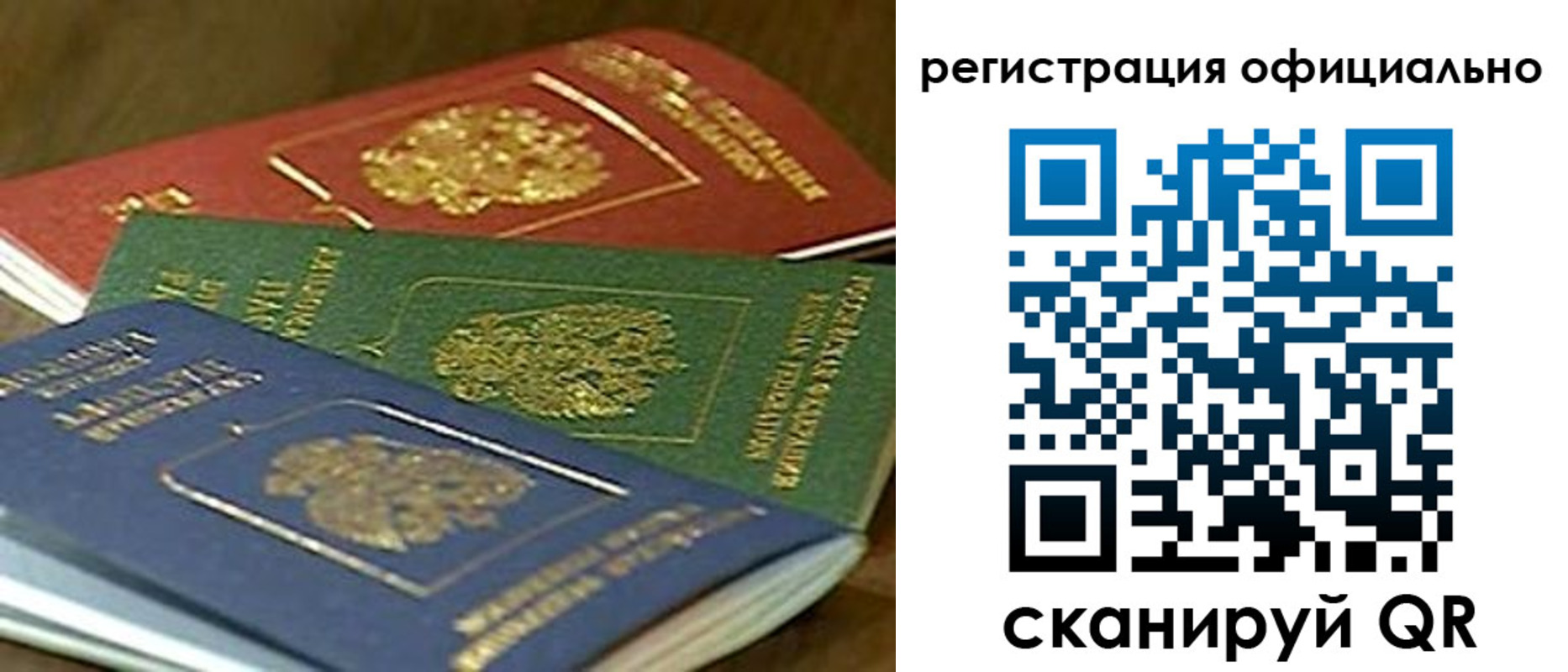 прописка поиск в Санкт-Петербурге